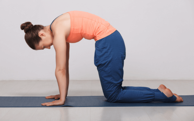 マージャリア・アーサナ（猫のポーズ）